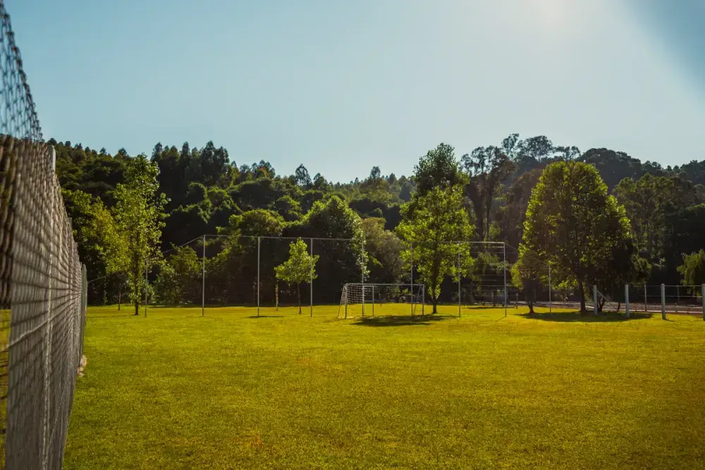 Campo de futebol gramado cercado de mata