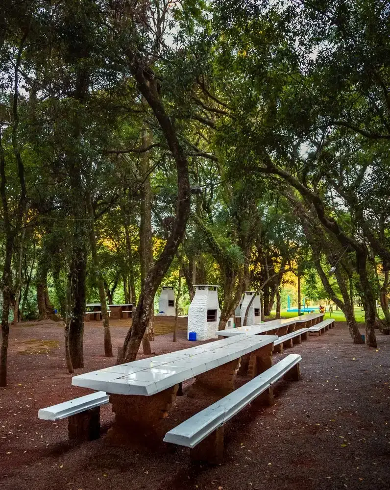 Mesas compridas e churrasqueiras no bosque, à sombra das árvores