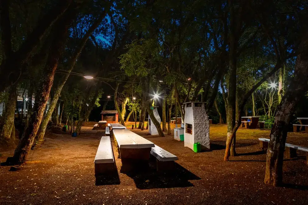 Churrasqueiras e mesas no bosque, iluminadas à noite
