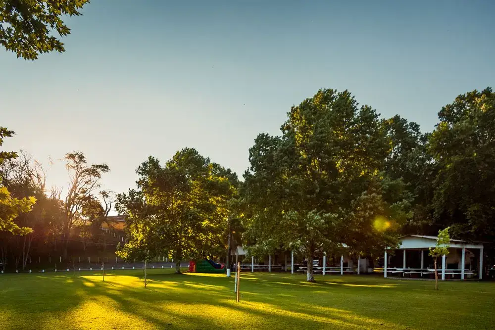 Gramado com árvores grandes e quiosques ao fundo, ao pôr do sol
