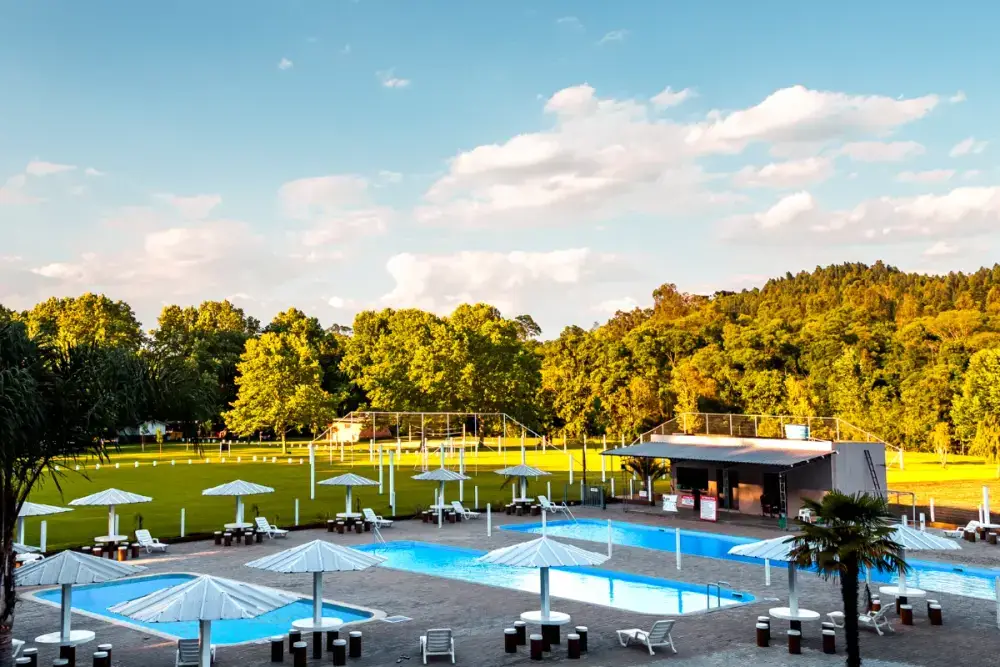 Piscinas com guarda-sóis, gramado e mata ao fundo